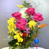 Chậu Lan Hồ Điệp 8 Cành – Vinh Hoa Đoàn Viên