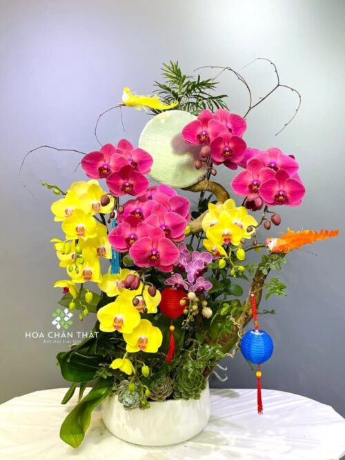 Chậu Lan Hồ Điệp 8 Cành – Vinh Hoa Đoàn Viên