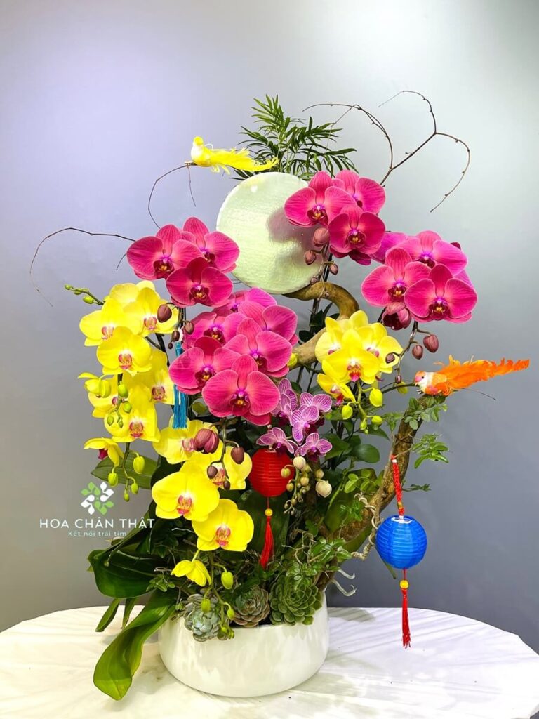 Chậu Lan Hồ Điệp 8 Cành – Vinh Hoa Đoàn Viên Chậu Lan Hồ Điệp 8 Cành – Vinh Hoa Đoàn Viên