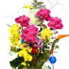 Chậu Lan Hồ Điệp 8 Cành – Vinh Hoa Đoàn Viên