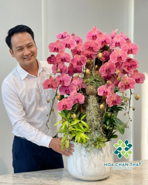 Chậu Lan Hồ Điệp 9 Cành – Hồng Diệp Phú Quý