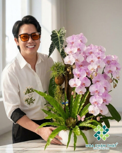 Chậu Lan Hồ Điệp Ghép Lũa 5 Cành – Tím Sương Cát Tường