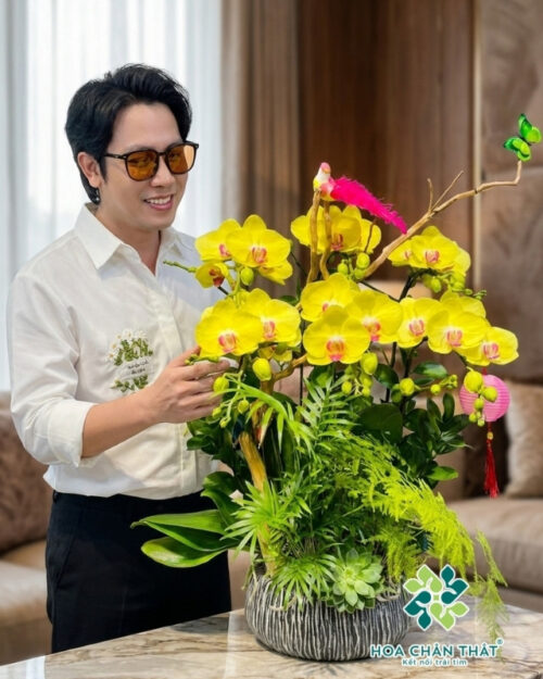 Chậu Lan Hồ Điệp Ghép Lũa 6 Cành – Kim Diệp Thịnh Vượng