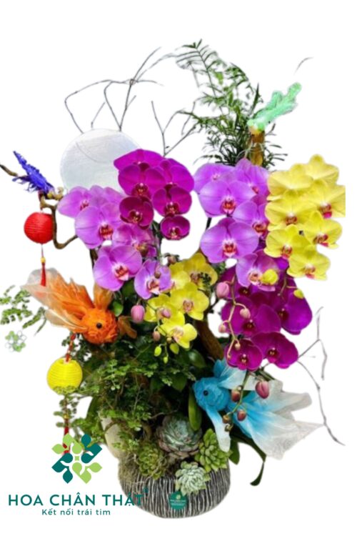 Chậu Lan Hồ Điệp Ghép Lũa 6 Cành – Sắc Ngọc Thịnh Vượng