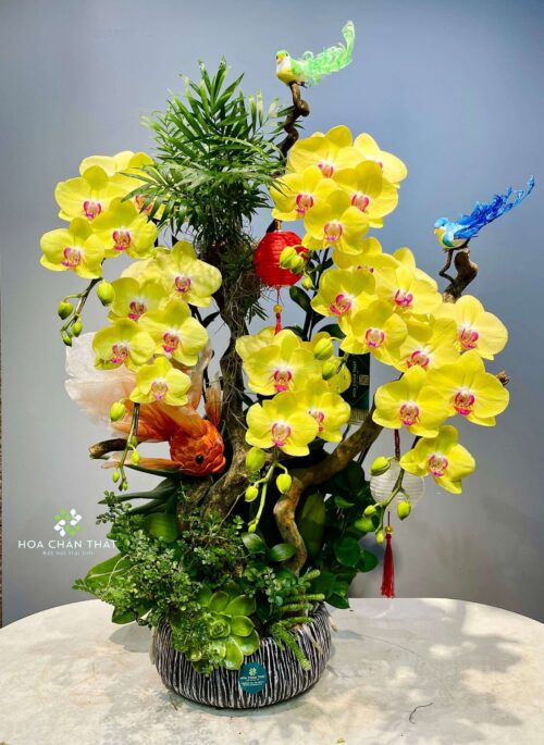 Chậu Lan Hồ Điệp – Minh Nguyệt Đoàn Viên