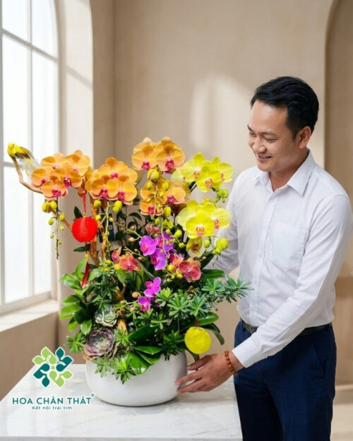 Chậu Lan Hồ Điệp – Hạnh Phúc Sum Vầy