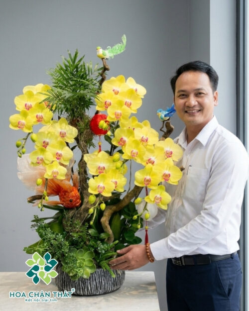 Chậu Lan Hồ Điệp – Minh Nguyệt Đoàn Viên