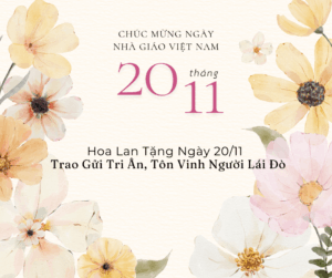 Hoa Lan Tặng Ngày 20/11 – Trao Gửi Tri Ân, Tôn Vinh Người Lái Đò Hoa Lan Tang Ngay 2011 Trao Gui Tri An Ton Vinh Nguoi Lai DoHoa Lan Tang Ngay 2011 Trao Gui Tri An Ton Vinh Nguoi Lai Do 1