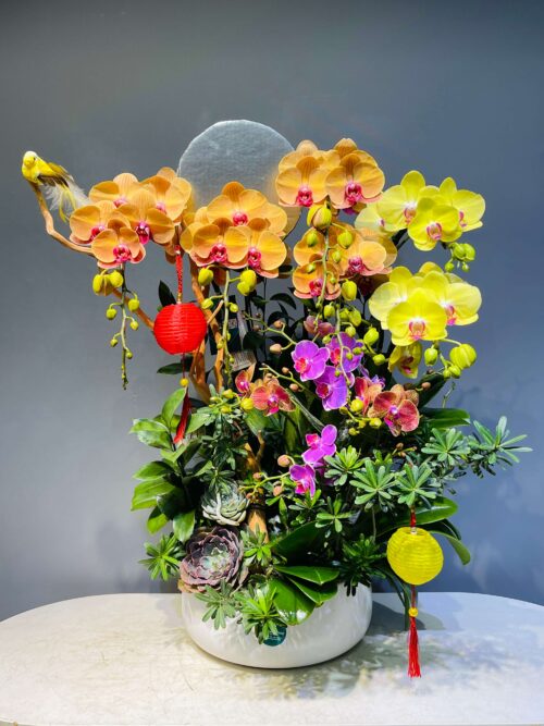 Lan Hồ Điệp – Hạnh Phúc Sum Vầy