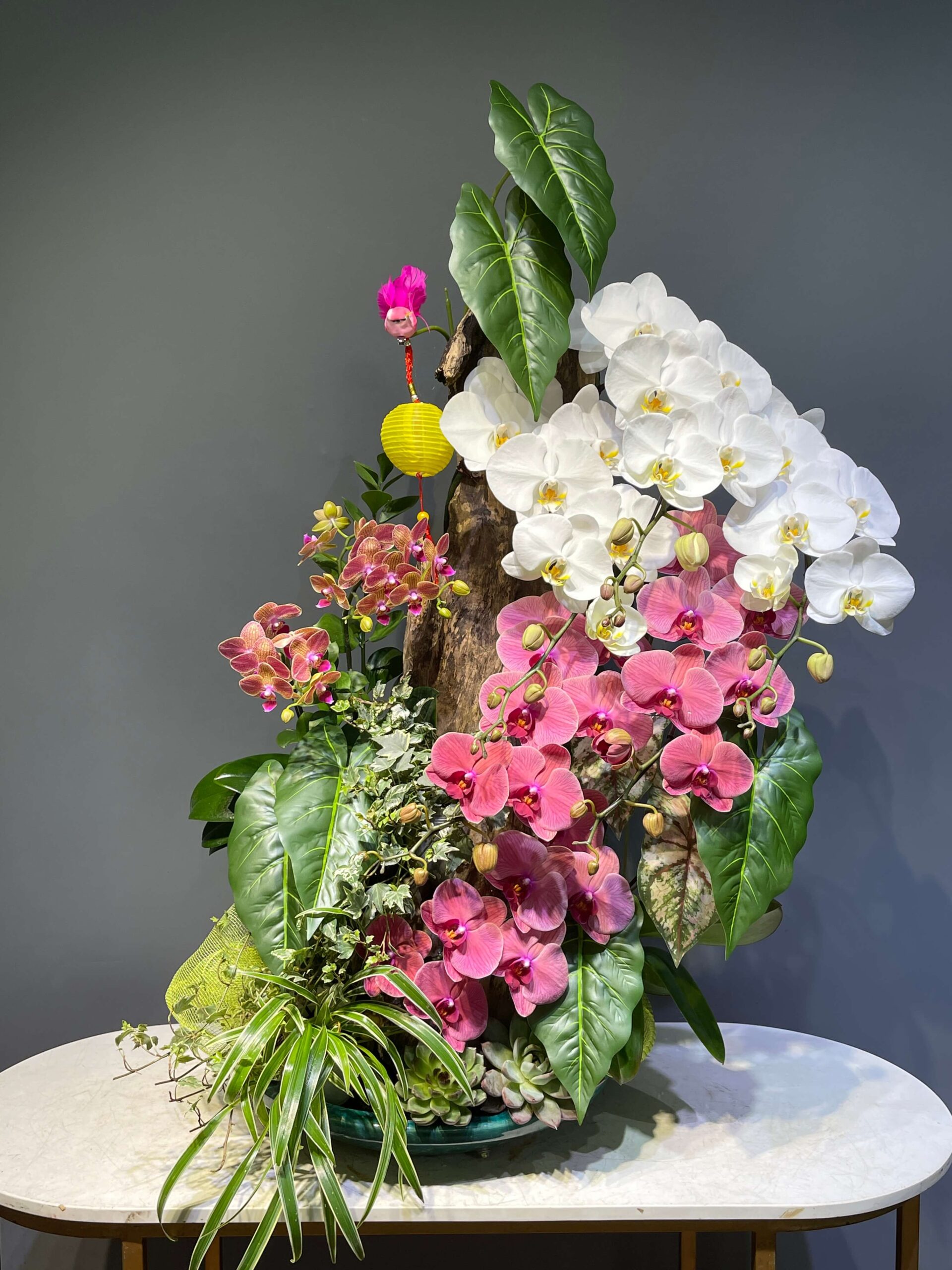 IMG_4015 (1) IMG 4015 1 scaled