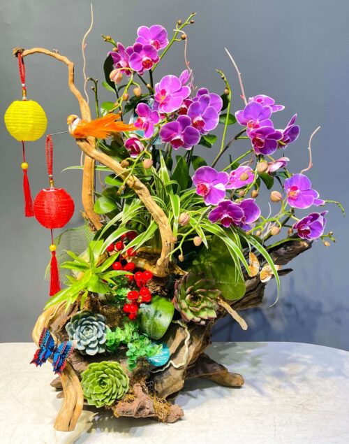 Lan Ghép Lũa Mini – Sắc Tím Bình An