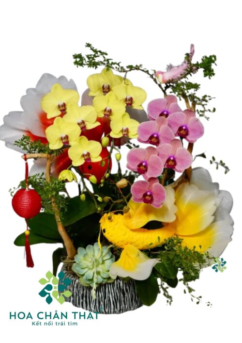 Lan Hồ Điệp Cá Chép Vàng 3 Cành – Vượng Tài Đón Phúc