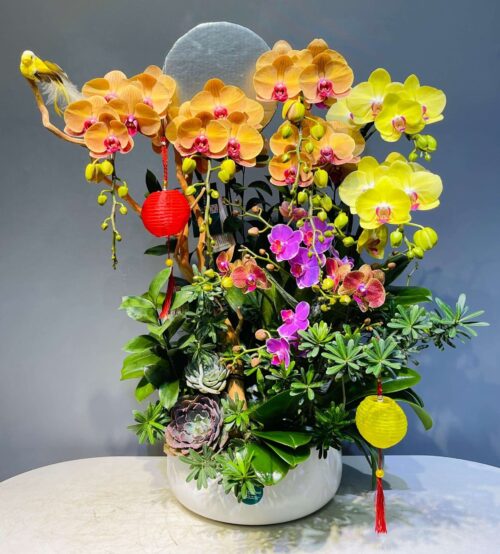 Lan Hồ Điệp – Hạnh Phúc Sum Vầy