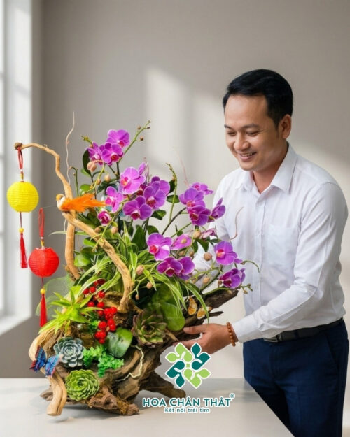 Lan Hồ Điệp Mini Ghép Lũa – Sắc Tím Bình An