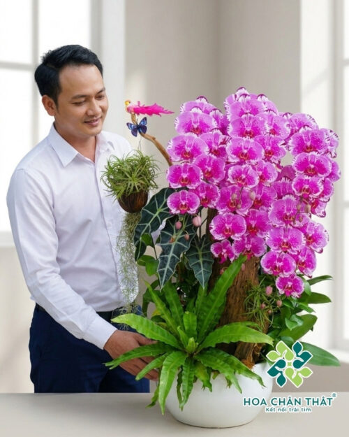Lan Hồ Điệp Tím 5 Cành – Sắc Hương Kiêu Sa