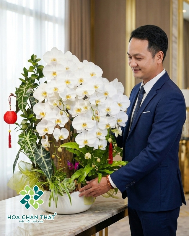 Lan Hồ Điệp Trắng 5 Cành – Thanh Khiết Tinh Khôi Lan Hồ Điệp Trắng 5 Cành – Thanh Khiết Tinh Khôi