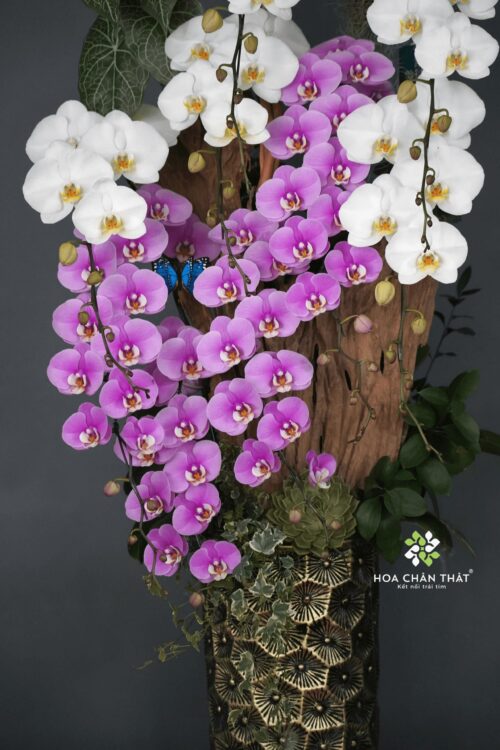 Máng Lũa Trắng Tím 9 Cành – Sắc Hoa Biết Nói