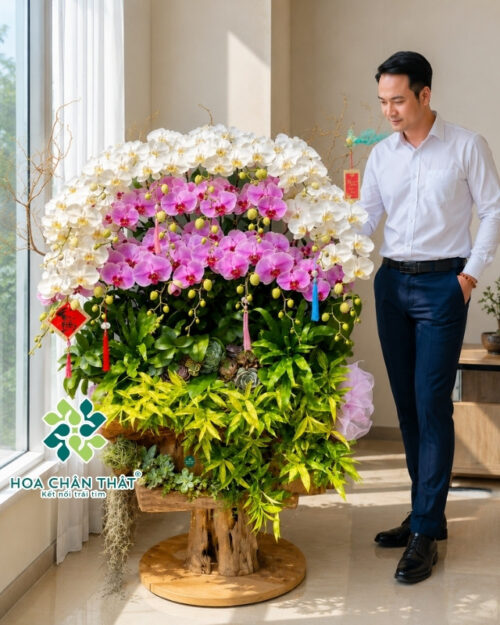 Máng lũa 20 Cành Lan Hồ Điệp – Bạch Hồng Phú Quý