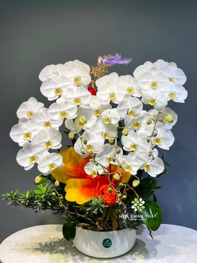 Lưu ý khi đặt lan hồ điệp trên bàn thờ - Hồ Điệp có để bàn thờ được không?