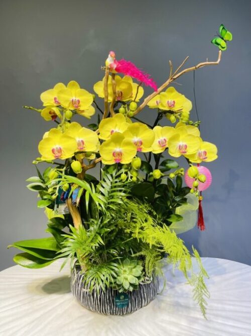 Nhi 6 vang ghep lua 2.260.000d 510x681 1