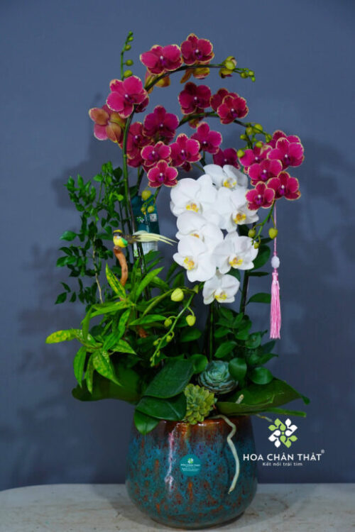 beb3040f999d14c34d8c6 1 510x765 1