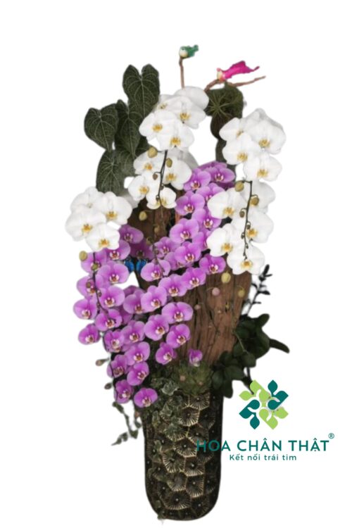 Máng Lũa Trắng Tím 9 Cành – Sắc Hoa Biết Nói