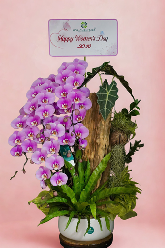 gan-logo-1707-x-2560-px-23 gan logo 1707 x 2560 px 23 1