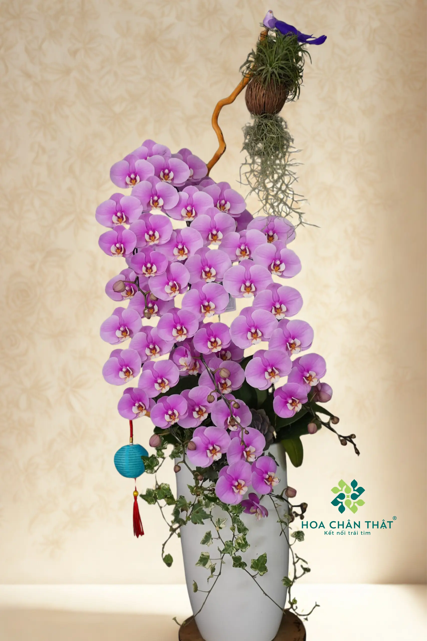 gắn logo (1707 x 2560 px) (28) gan logo 1707 x 2560 px 28