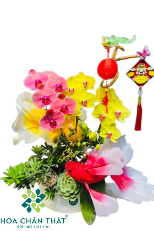 Chậu Lan Hồ Điệp Ghép Lũa 3 Cành – An Nhiên Hòa Khí