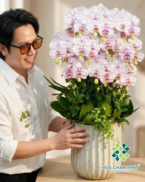Lan Hồ Điệp 10 Cành Đột Biến – Hồng Ân Tri Thức