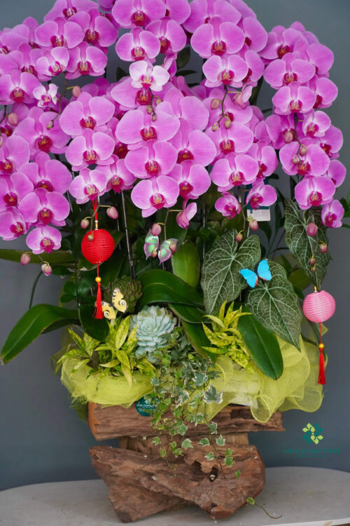 0ba2d3283604bb5ae2157 1