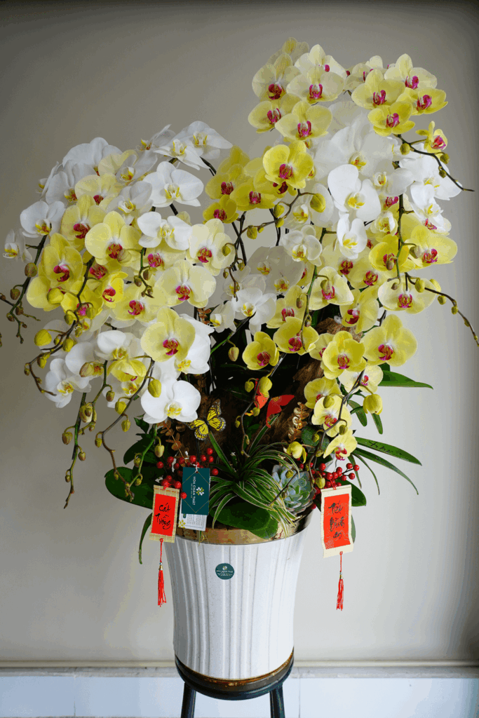 15 canh mix trang vang 1