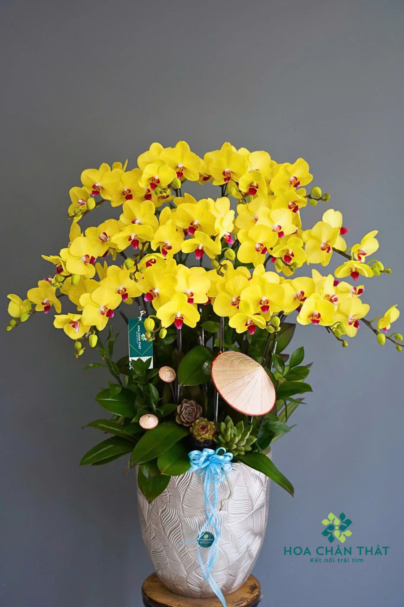 15 cành vàng 15 canh vang