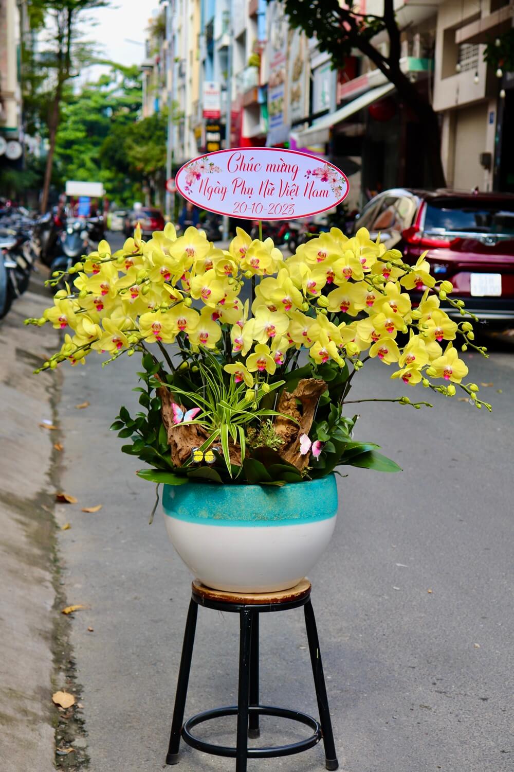 20 cành vàng 20_10 (1) 20 canh vang 20 10 1