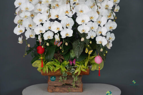 34bff0f923eeaeb0f7ff7 1