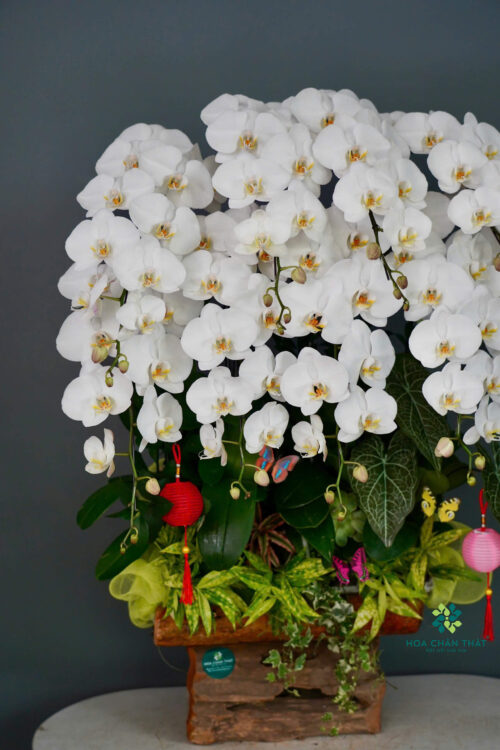 56fa0151d5465818015710 1