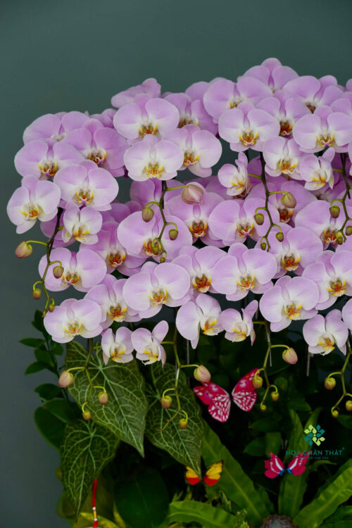 7b19a3554779ca2793685 1