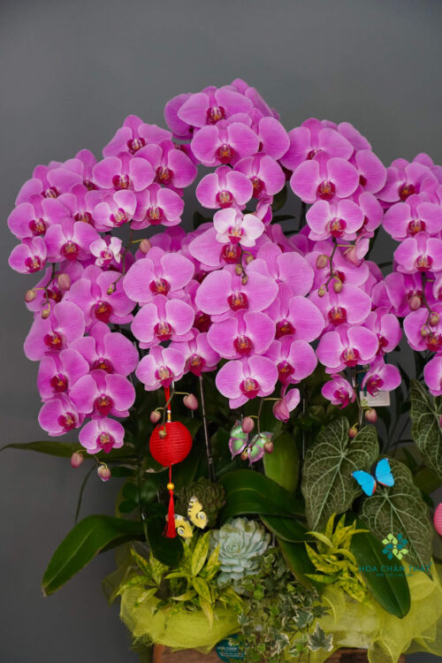 8d7a71d394ff19a140ee9 1 1