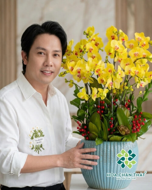 Chậu Lan Hồ Điệp 12 Cành – Kim Vàng Tươi