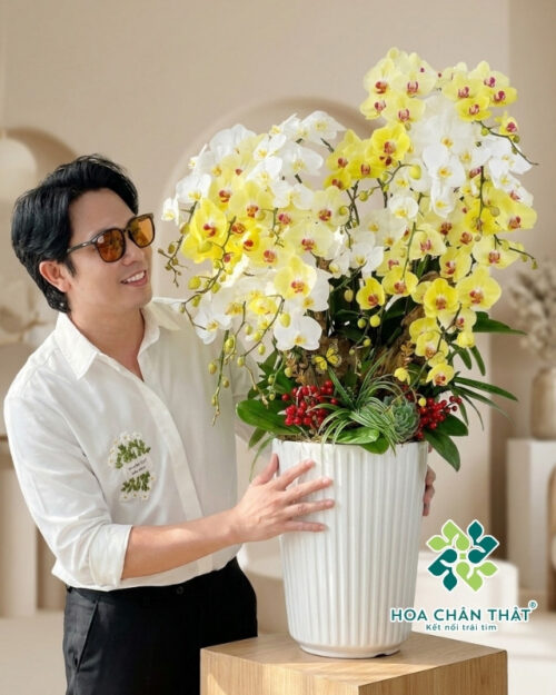 Chậu Lan Hồ Điệp 15 Cành – Bạch Kim Phú Quý