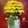 Chậu Lan Hồ Điệp 27 Cành – Hoàng Kim Phú Quý