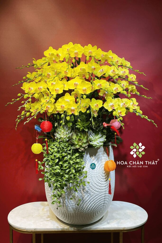 Chau Lan Ho Diep 27 Canh Hoang Kim Phu Quy 2