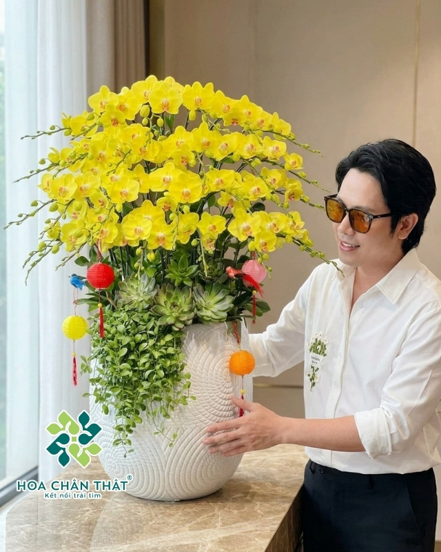 Chậu Lan Hồ Điệp 27 Cành Vàng Hoang Hậu – Hoàng Kim Phú Quý-2 Chậu Lan Hồ Điệp 27 Cành Vàng Hoang Hậu – Hoàng Kim Phú Quý