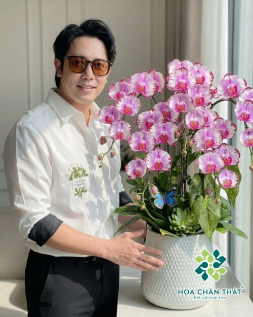 Chậu Lan Hồ Điệp 5 Cành – Tím Đột Biến Quý Hiếm