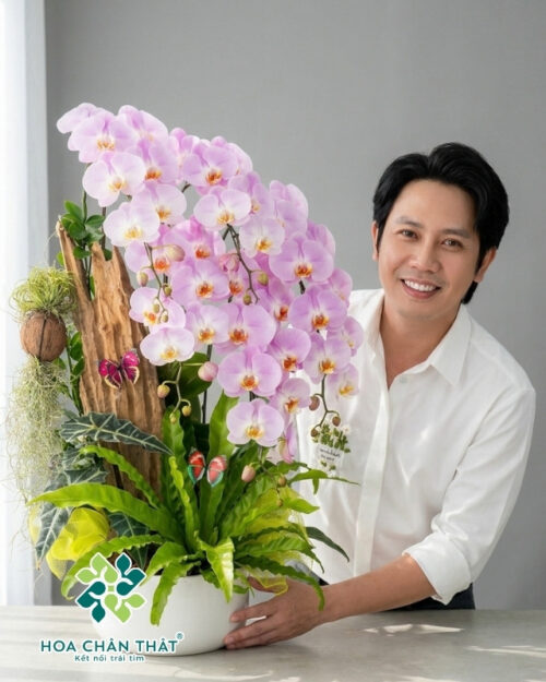 Chậu Lan Hồ Điệp 5 Cành – Tím Hương An Lạc