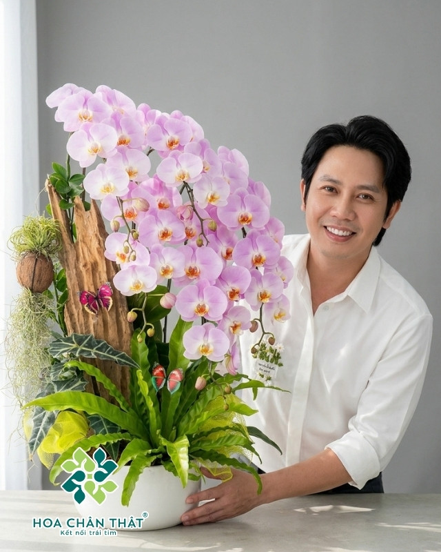 Chậu Lan Hồ Điệp 5 Cành – Tím Hương An Lạc Chậu Lan Hồ Điệp 5 Cành – Tím Hương An Lạc