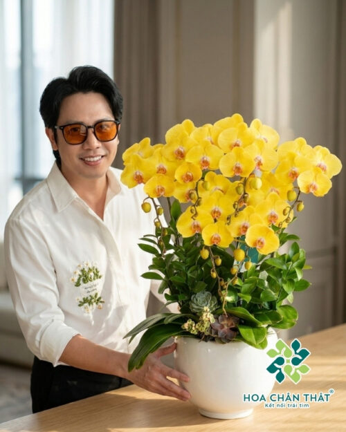 Chậu Lan Hồ Điệp 6 Cành Màu Vàng – Hoàng Diệp An Khang