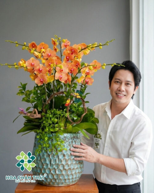 Chậu Lan Hồ Điệp 7 Cành – Hoàng Cam Phú Quý