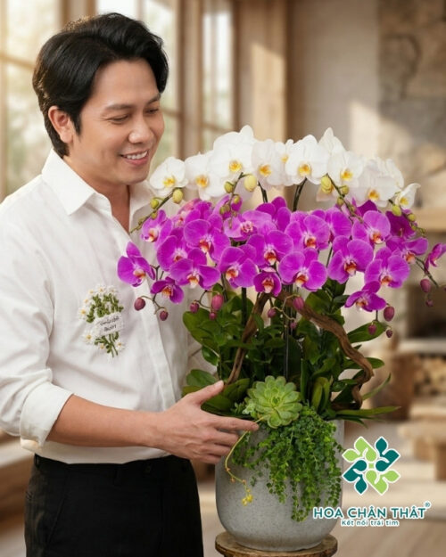 Chậu Lan Hồ Điệp 9 Cành – Bạch Tím Thanh Hòa