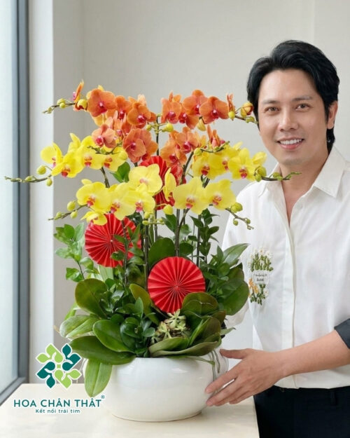 Chậu Lan Hồ Điệp 9 Cành – Cam Vàng Phú Lộc